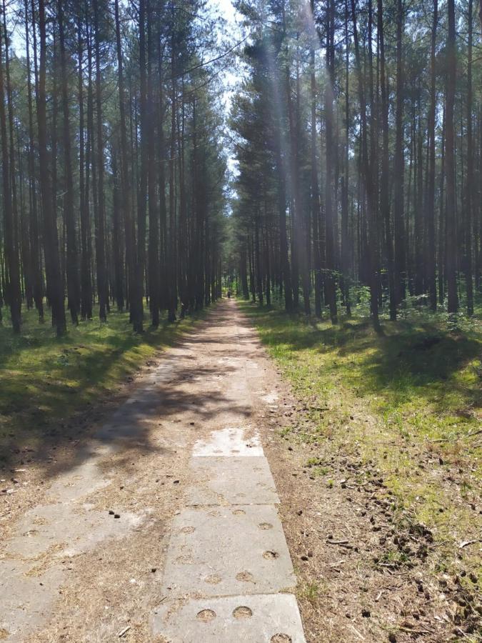 Home&Slow Life Гданськ Екстер'єр фото