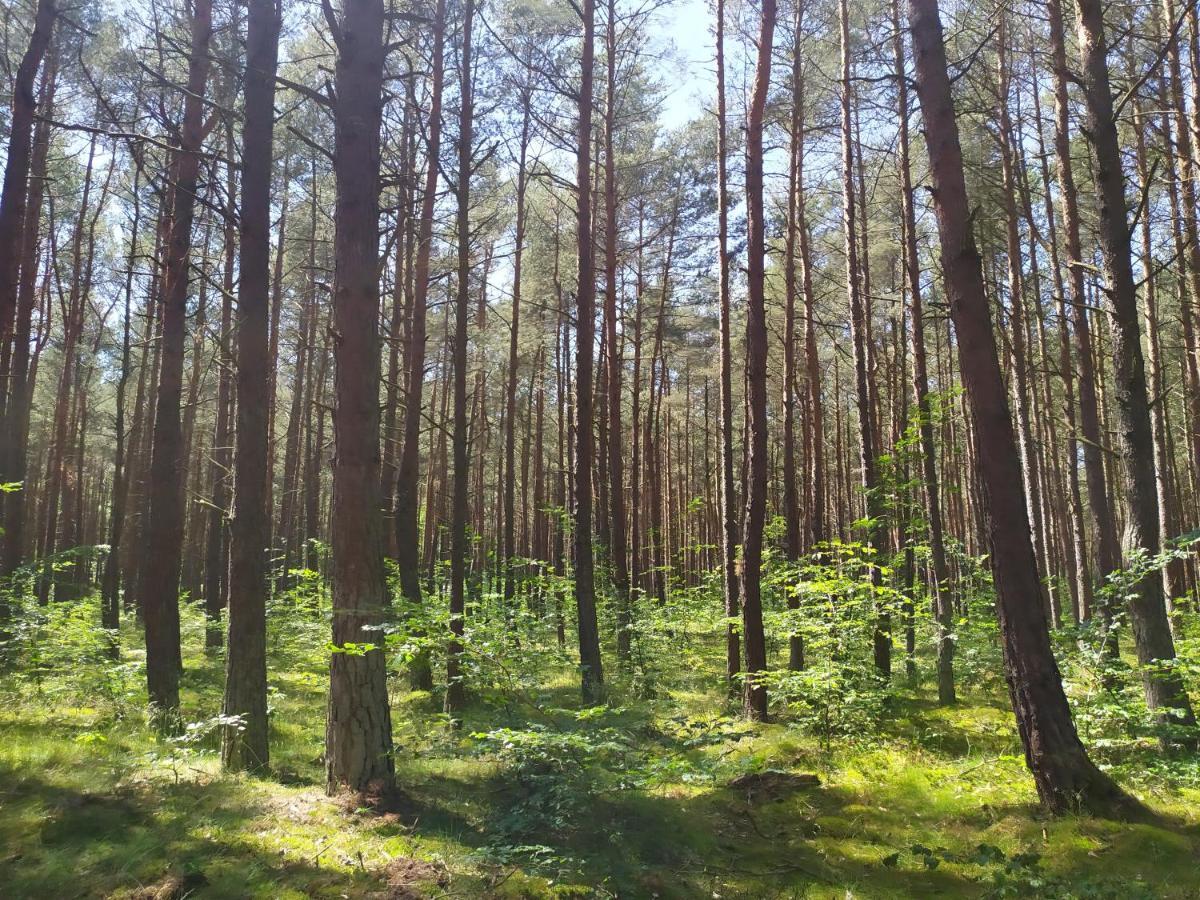 Home&Slow Life Гданськ Екстер'єр фото