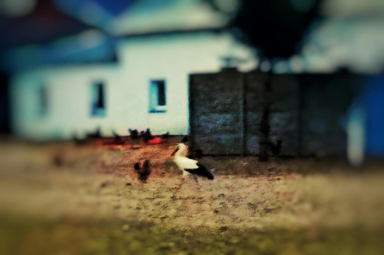 Home&Slow Life Гданськ Екстер'єр фото